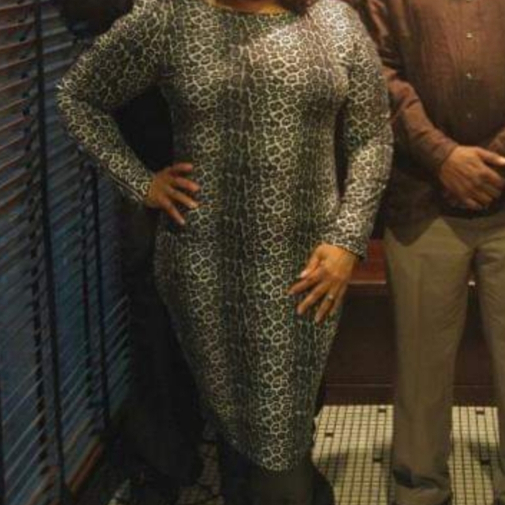 Leopard long sleeve dress. Zipper on the sleeves.